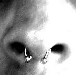 nasenring.jpg