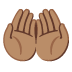 🤲🏽